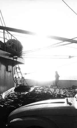 Arribant amb el transbordador, 1978