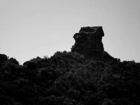 Es Cap de s'Indi, 2009