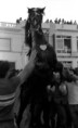 /album/menorca-retrats-intermitents/26-menorca79-1591-fornells-jpg/